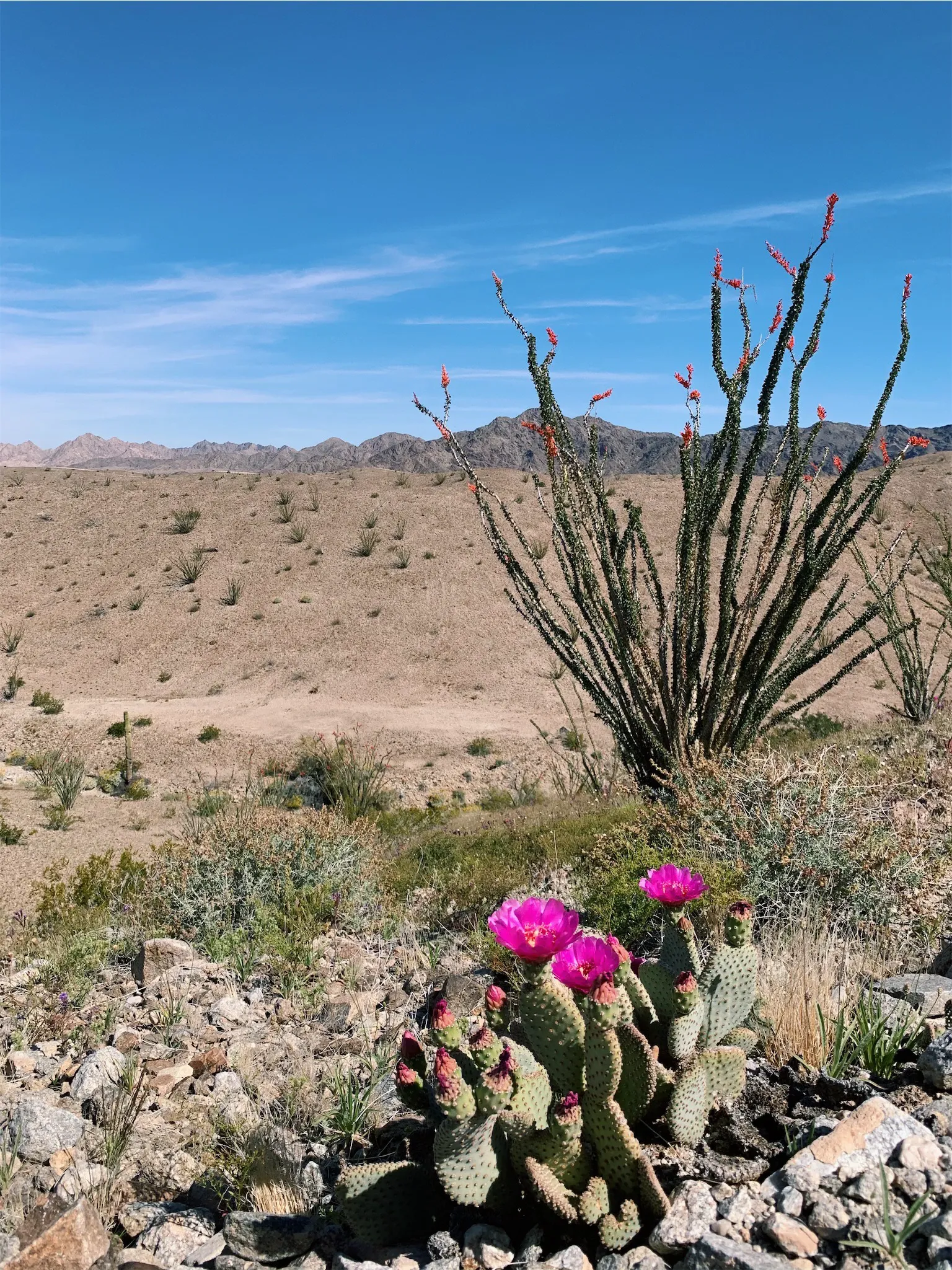 Contact Hacienda Homes