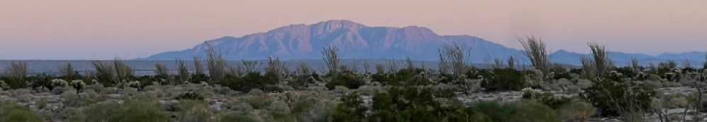 Yuma desert landscape