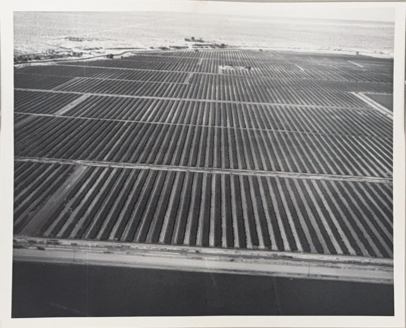 An aerial view of cultivated farm fields stretching across the Yuma Valley