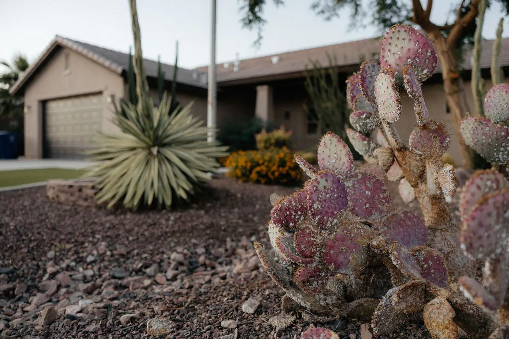 Livingston Ranch desert landscape